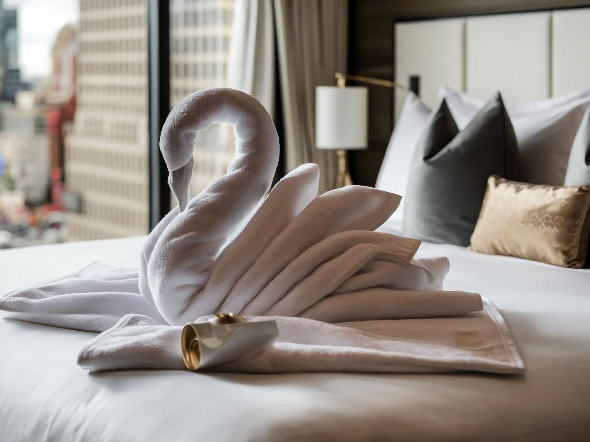 Hotel & Accommodation Sourcing